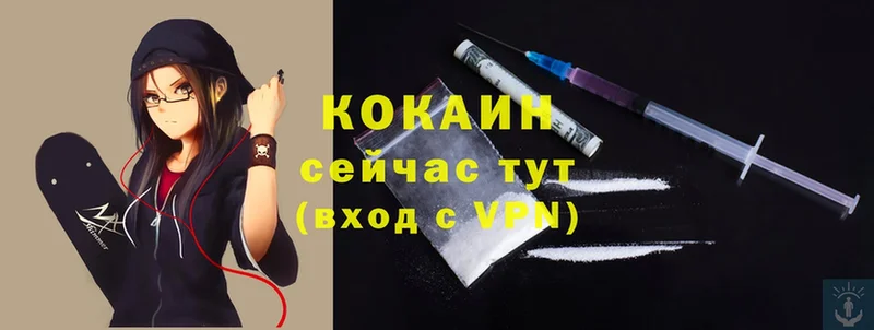 Cocaine Боливия  Удомля 