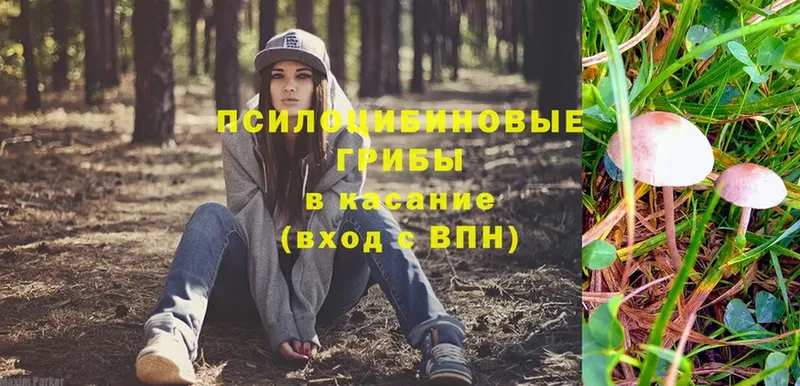 это состав  Удомля  Галлюциногенные грибы ЛСД 